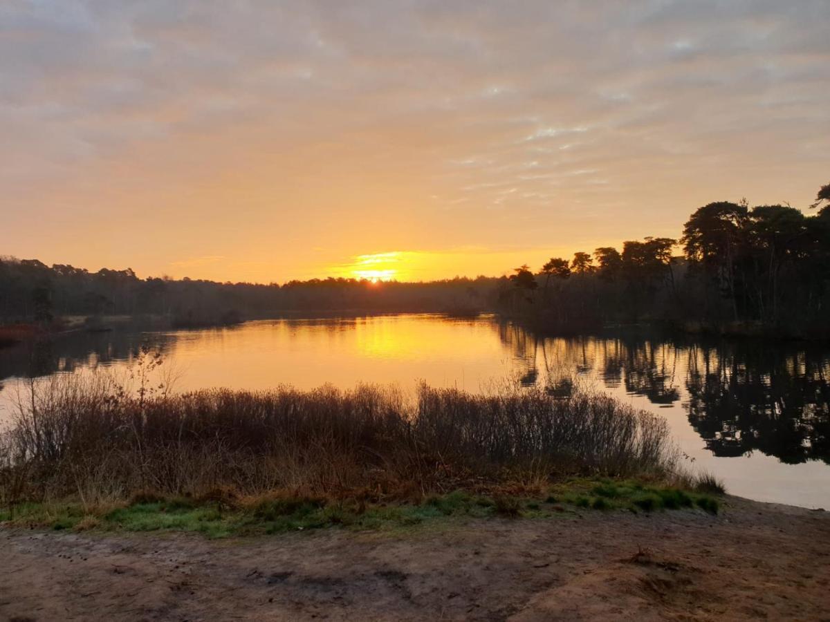 29, Natuurlijk Gelegen Nabij Efteling En Beekse Bergen, Airco & Prive Parkeren Inbegrepen! Oisterwijk Exterior foto