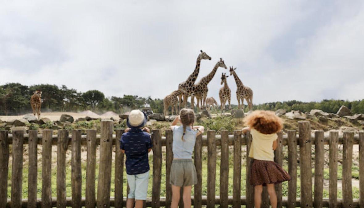 29, Natuurlijk Gelegen Nabij Efteling En Beekse Bergen, Airco & Prive Parkeren Inbegrepen! Oisterwijk Exterior foto