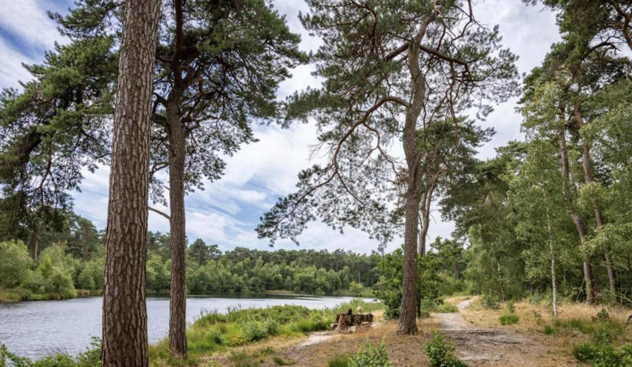 29, Natuurlijk Gelegen Nabij Efteling En Beekse Bergen, Airco & Prive Parkeren Inbegrepen! Oisterwijk Exterior foto