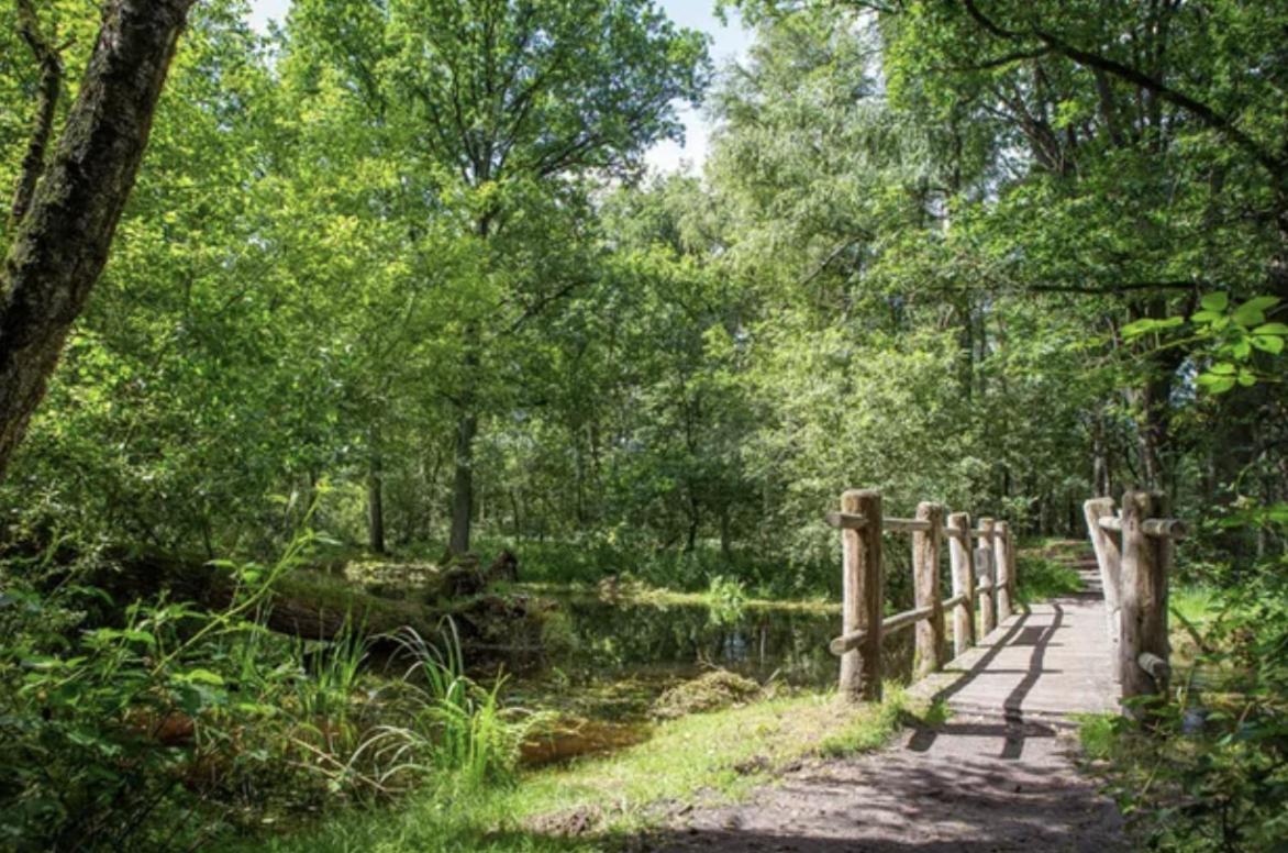 29, Natuurlijk Gelegen Nabij Efteling En Beekse Bergen, Airco & Prive Parkeren Inbegrepen! Oisterwijk Exterior foto